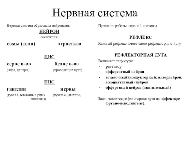 Нервная система Нервная система образована нейронами. НЕЙРОН состоит из: сомы (тела) отростков