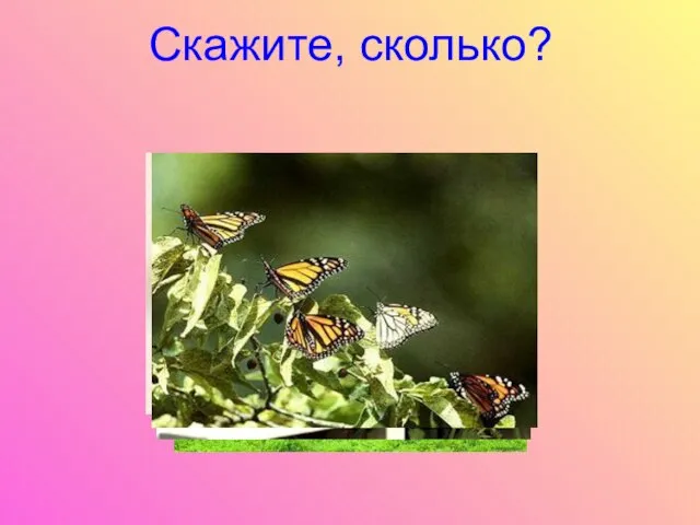 Скажите, сколько?