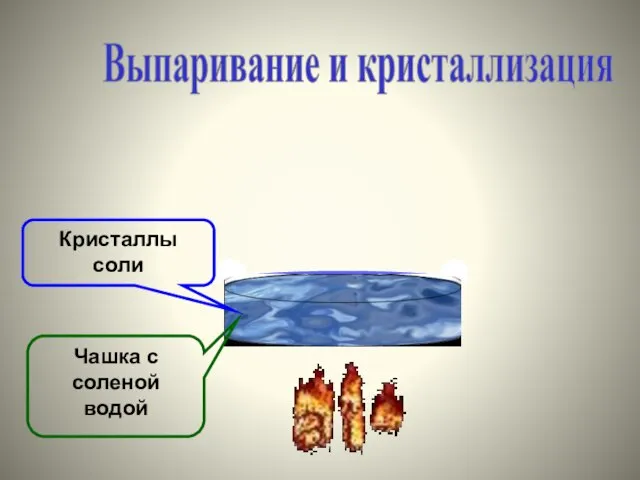 Чашка с соленой водой Кристаллы соли Выпаривание и кристаллизация