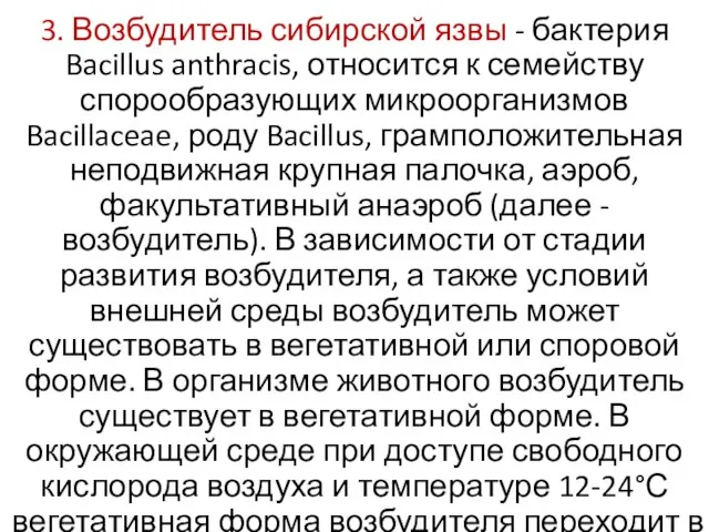 3. Возбудитель сибирской язвы - бактерия Bacillus anthracis, относится к семейству спорообразующих