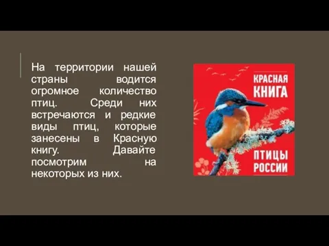 На территории нашей страны водится огромное количество птиц. Среди них встречаются и