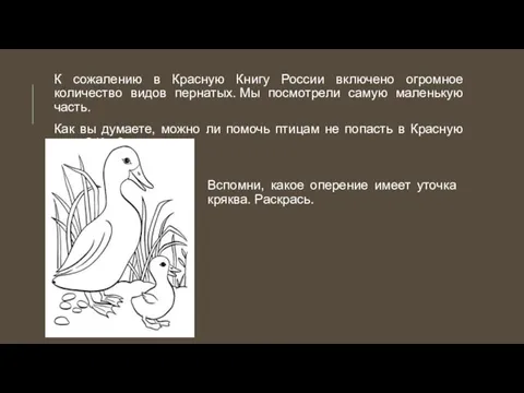 К сожалению в Красную Книгу России включено огромное количество видов пернатых. Мы