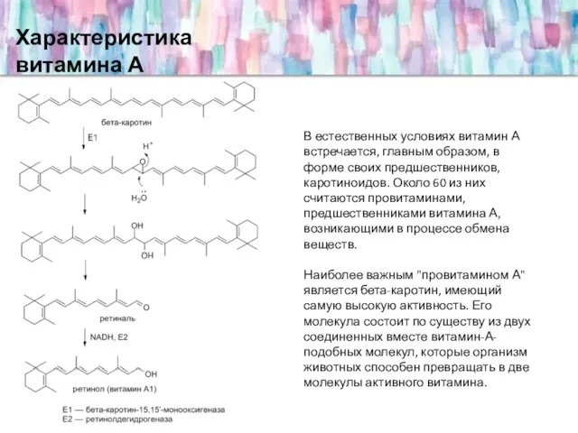 Характеристика витамина А В естественных условиях витамин А встречается, главным образом, в