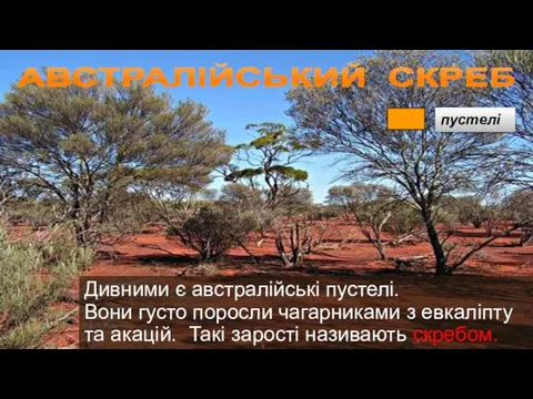 Дивними є австралійські пустелі. Вони густо поросли чагарниками з евкаліпту та акацій.