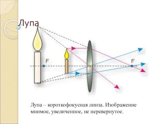 Лупа Лупа – короткофокусная линза. Изображение мнимое, увеличенное, не перевернутое.