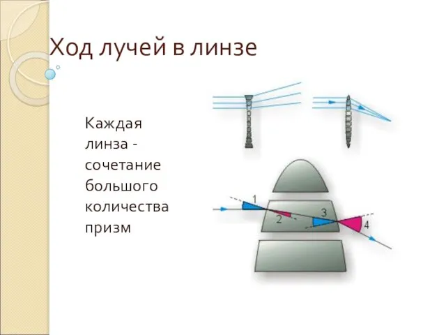 Ход лучей в линзе Каждая линза - сочетание большого количества призм