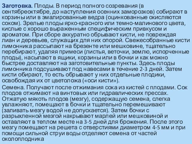 Заготовка. Плоды. В период полного созревания (в сентябреоктябре, до наступления осенних заморозков)