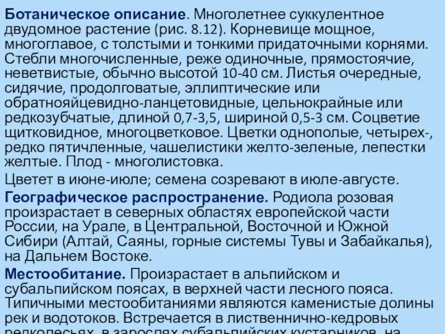 Ботаническое описание. Многолетнее суккулентное двудомное растение (рис. 8.12). Корневище мощное, многоглавое, с