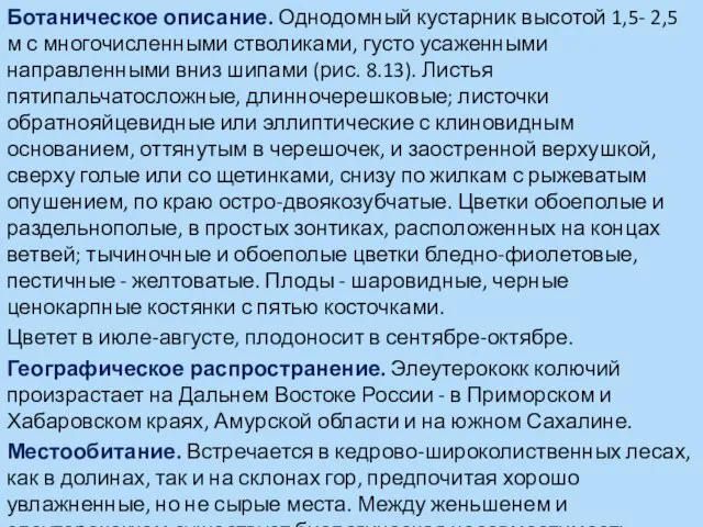 Ботаническое описание. Однодомный кустарник высотой 1,5- 2,5 м с многочисленными стволиками, густо