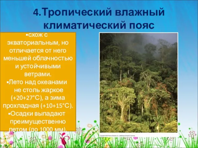 4.Тропический влажный климатический пояс схож с экваториальным, но отличается от него меньшей