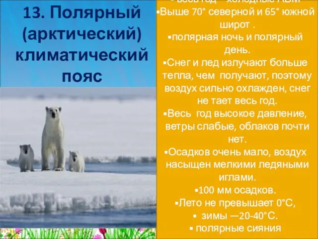 13. Полярный (арктический) климатический пояс весь год – холодные АВМ Выше 70°