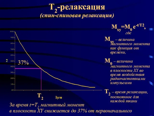 Т2-релаксация (спин-спиновая релаксация) Мxy=M0 e-t/T2, где Mxy – величина магнитного момента как
