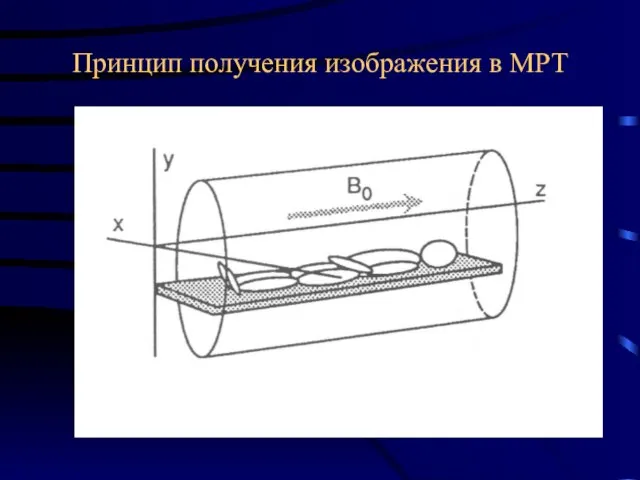 Принцип получения изображения в МРТ