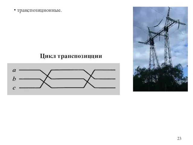 транспозиционные. Цикл транспозицции