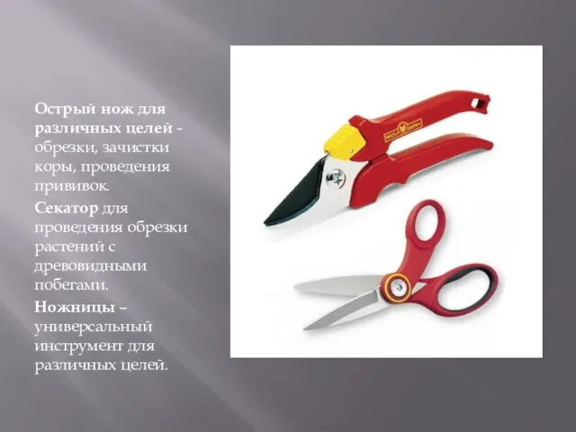 Острый нож для различных целей - обрезки, зачистки коры, проведения прививок. Секатор