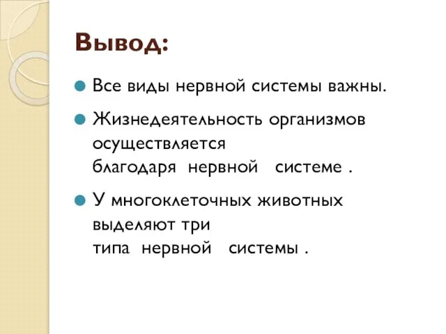 Вывод: Все виды нервной системы важны. Жизнедеятельность организмов осуществляется благодаря нервной системе