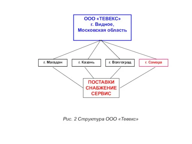 Рис. 2 Структура ООО «Тевекс» ООО «ТЕВЕКС» г. Видное, Московская область г.