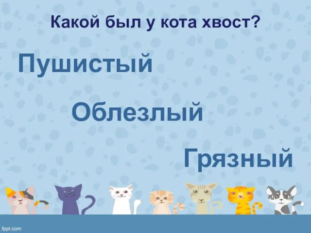 Какой был у кота хвост? Пушистый Облезлый Грязный