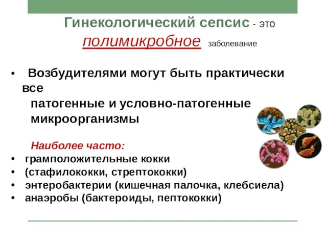 Гинекологический сепсис - это полимикробное заболевание Возбудителями могут быть практически все патогенные