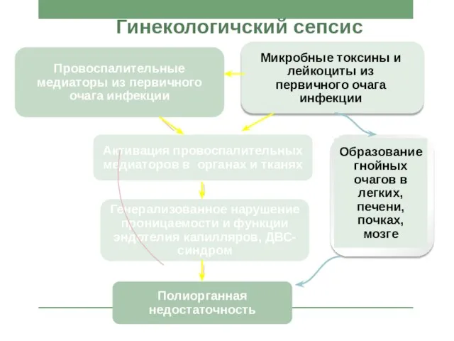 Гинекологичский сепсис