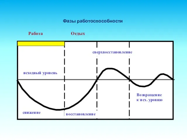 Фазы работоспособности