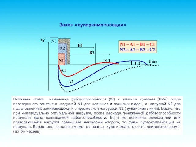 Показана схема изменения работоспособности (W) в течение времени (time) после проведенного занятия