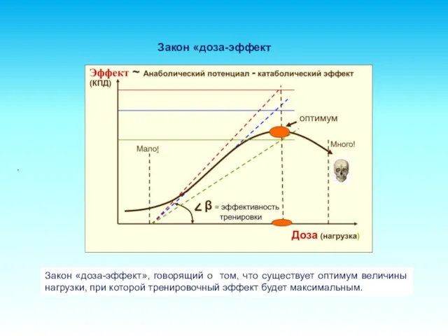 . Закон «доза-эффект», говорящий о том, что существует оптимум величины нагрузки, при