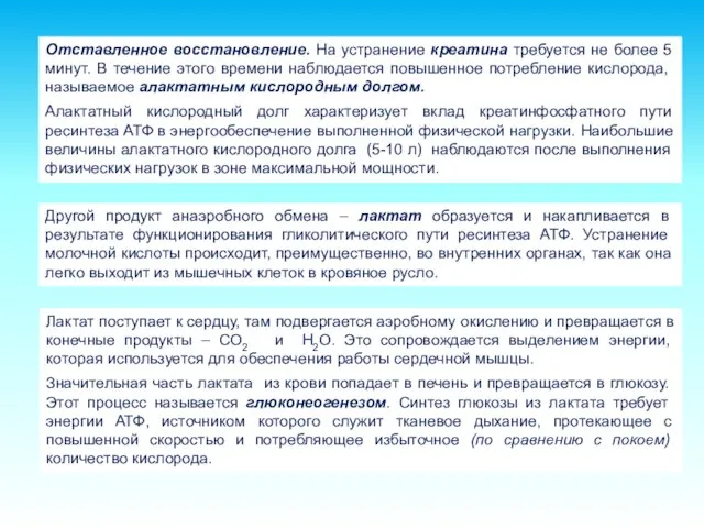 Отставленное восстановление. На устранение креатина требуется не более 5 минут. В течение