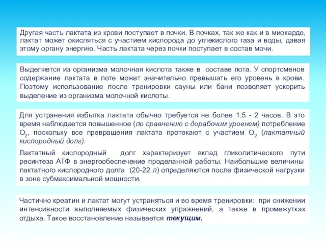 Другая часть лактата из крови поступает в почки. В почках, так же