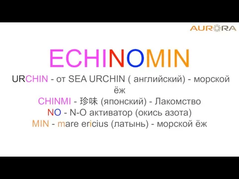 ECHINОMIN URCHIN - от SEA URCHIN ( английский) - морской ёж CHINMI