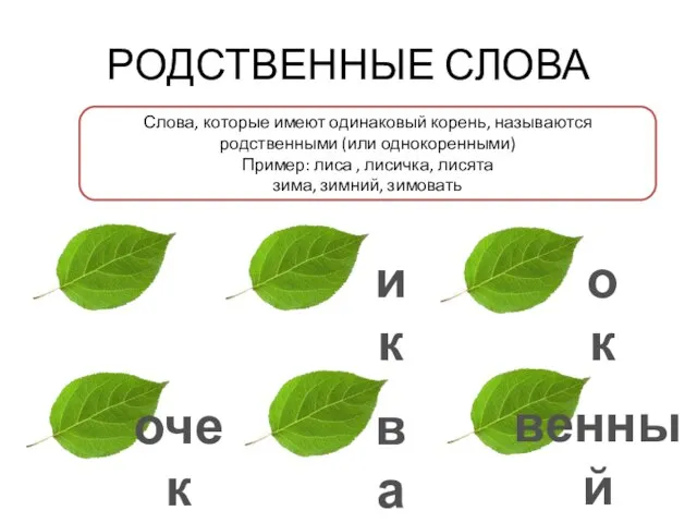 РОДСТВЕННЫЕ СЛОВА Слова, которые имеют одинаковый корень, называются родственными (или однокоренными) Пример: