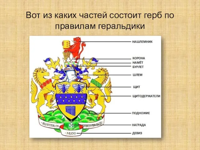 Вот из каких частей состоит герб по правилам геральдики