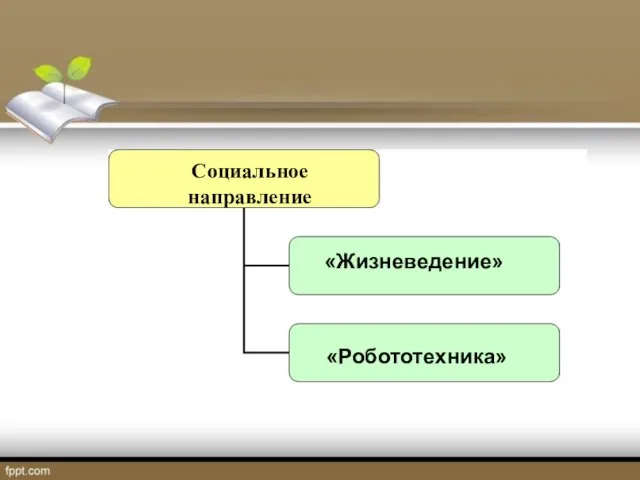 «Жизневедение» «Робототехника» Социальное направление