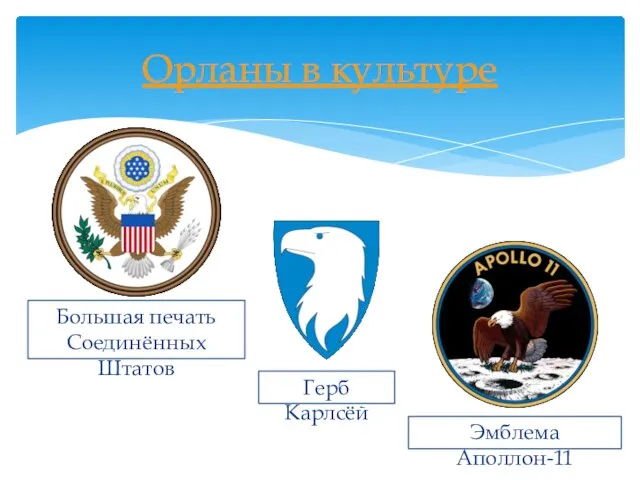 Орланы в культуре Большая печать Соединённых Штатов Герб Карлсёй Эмблема Аполлон-11