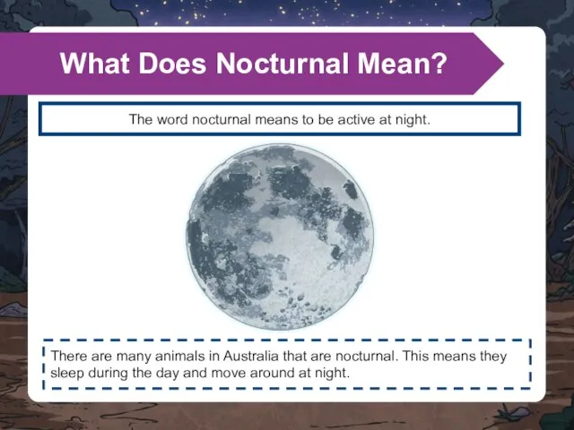 The word nocturnal means to be active at night. What Does Nocturnal