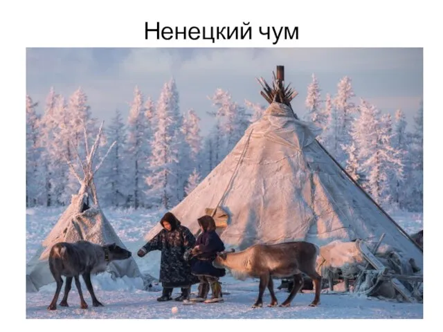 Ненецкий чум