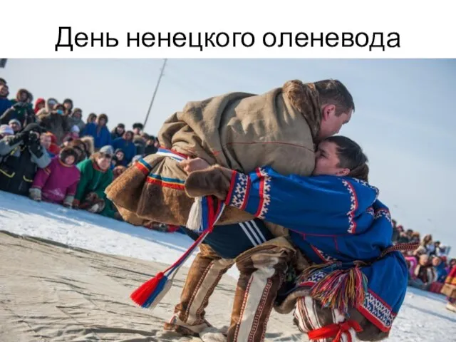 День ненецкого оленевода