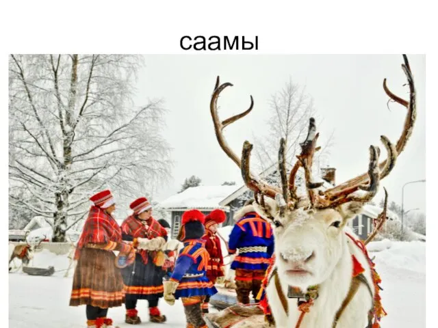 саамы