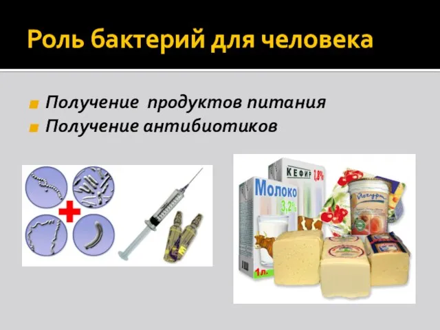 Роль бактерий для человека Получение продуктов питания Получение антибиотиков