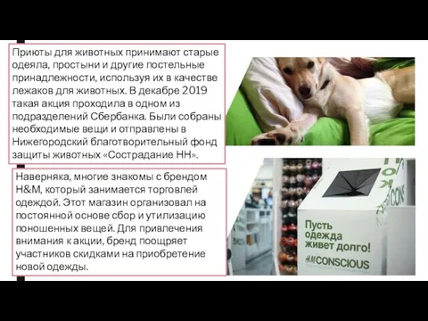 Наверняка, многие знакомы с брендом Н&М, который занимается торговлей одеждой. Этот магазин