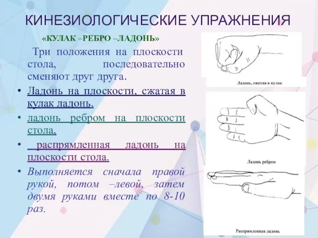 КИНЕЗИОЛОГИЧЕСКИЕ УПРАЖНЕНИЯ «КУЛАК –РЕБРО –ЛАДОНЬ» Три положения на плоскости стола, последовательно сменяют