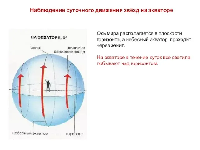 Ось мира располагается в плоскости горизонта, а небесный экватор проходит через зенит.