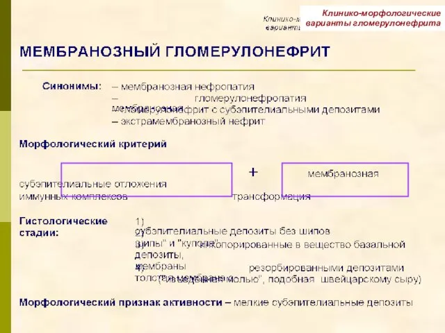 Клинико-морфологические варианты гломерулонефрита