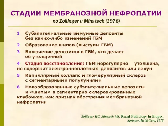 СТАДИИ МЕМБРАНОЗНОЙ НЕФРОПАТИИ по Zollinger и Minatsch (1978) 1 Субэпителиальные иммунные депозиты