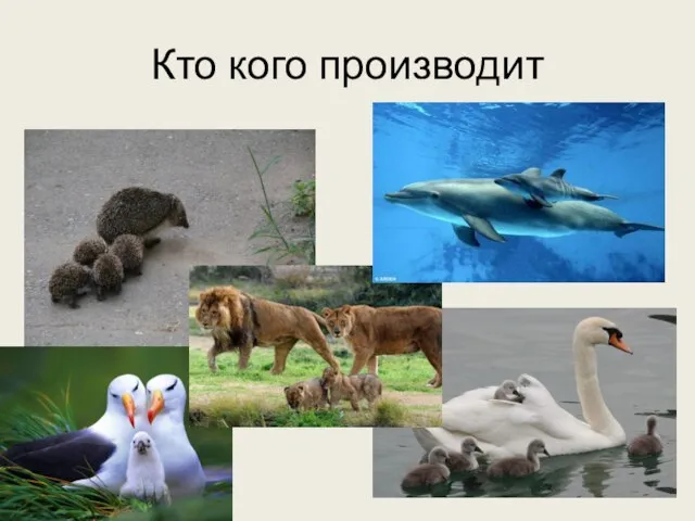 Кто кого производит