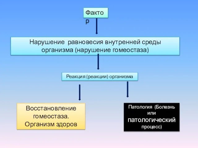 Фактор Нарушение равновесия внутренней среды организма (нарушение гомеостаза) Реакция (реакции) организма Восстановление