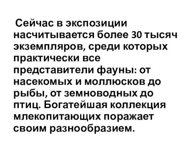 Сейчас в экспозиции насчитывается более 30 тысяч экземпляров, среди которых практически все