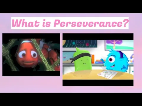 What is Perseverance?