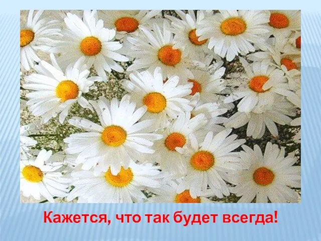 Кажется, что так будет всегда!