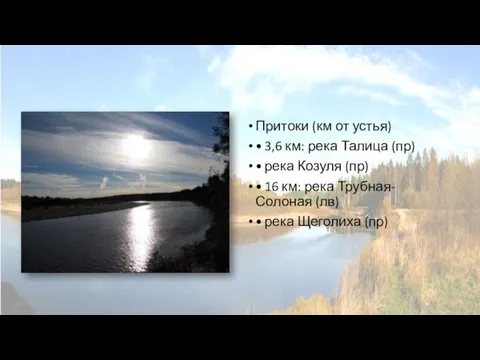 Притоки (км от устья) • 3,6 км: река Талица (пр) • река